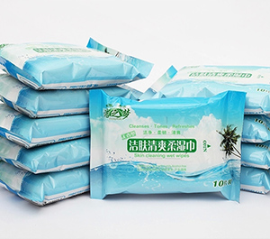 10 Pcs Packed Wet Wipes