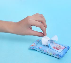 10 Pcs Packed Wet Wipes